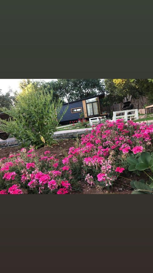 Hotel Tiny House Kayakoey Kumquat Exterior foto